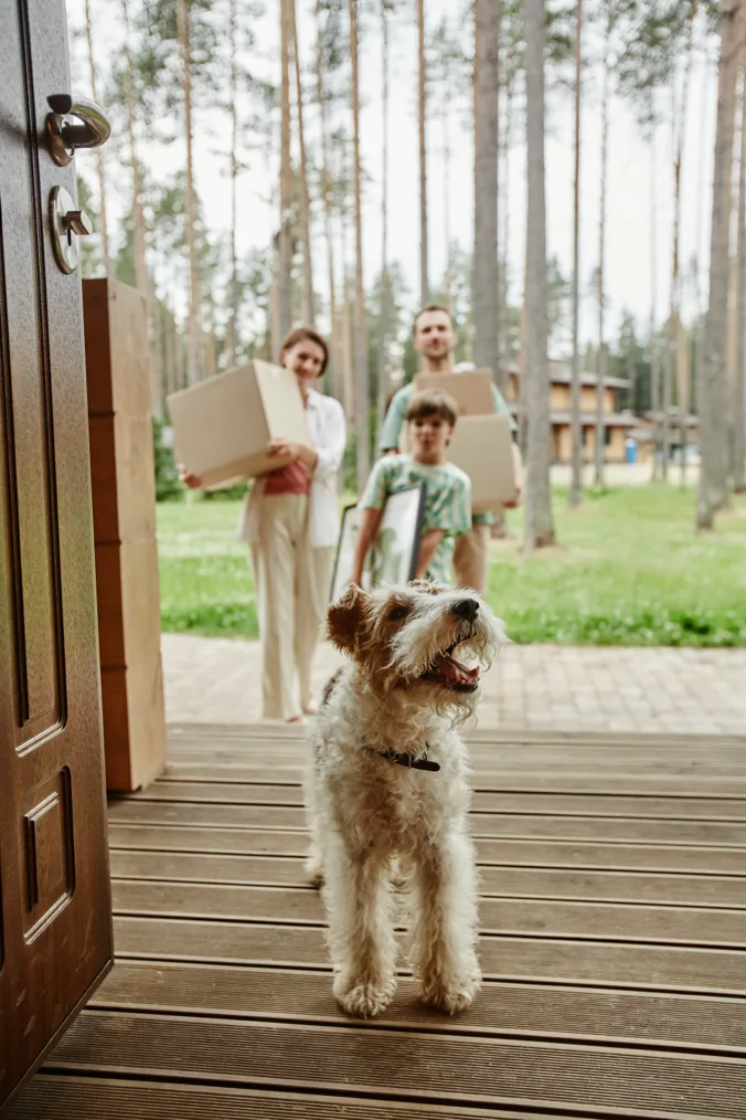 FHA Loans